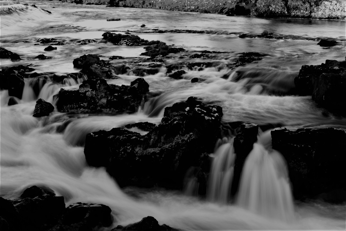 Black and white - Colin Bailey